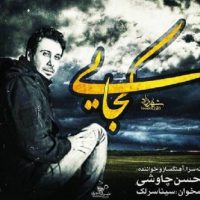 ادعای مهرجویی درباره قطعه کجایی چاوشی