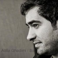 همه ی عکس های شهاب حسینی در سال 94