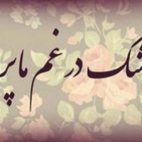 شعرگرافی های خاص و عاشقانه جدید تیر 94