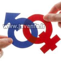 کدام غذاها فعالیت جنسی را بهبود می بخشند؟