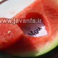 پیامک های عاشقانه جدید آذر 93 Love Sms