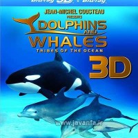 دانلود مستند سه بعدی دلفین ها و وال ها IMAX 3D Dolphins and Whales