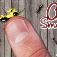 دانلود بازی مورچه کشی برای اندروید Ant Smasher