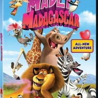 دانلود انیمیشن دیوانه بازی در ماداگاسکار Madly Madagascar 2013