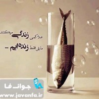 سخنان حکیمانه و آموزنده خرداد 93