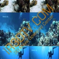 دانلود مستند کوتاه سه بعدی Ocean dive 3D