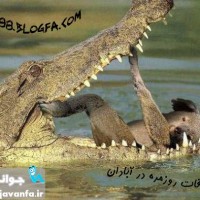 یک روز خیلی عادی در آبادان…!! جدید 93