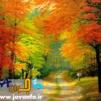 اس ام اس فصل پاییز 93-2014